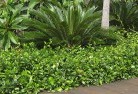 Burrunguleplanting-garden-and-landscape-design-45.jpg; ?>